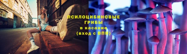 дурь Волосово