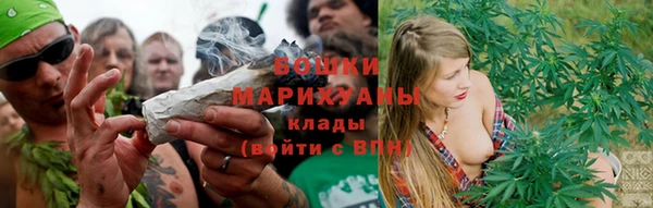 дурь Волосово